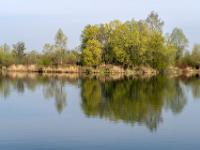 Frisches Grün an den Bäumen am Happinger Ausee